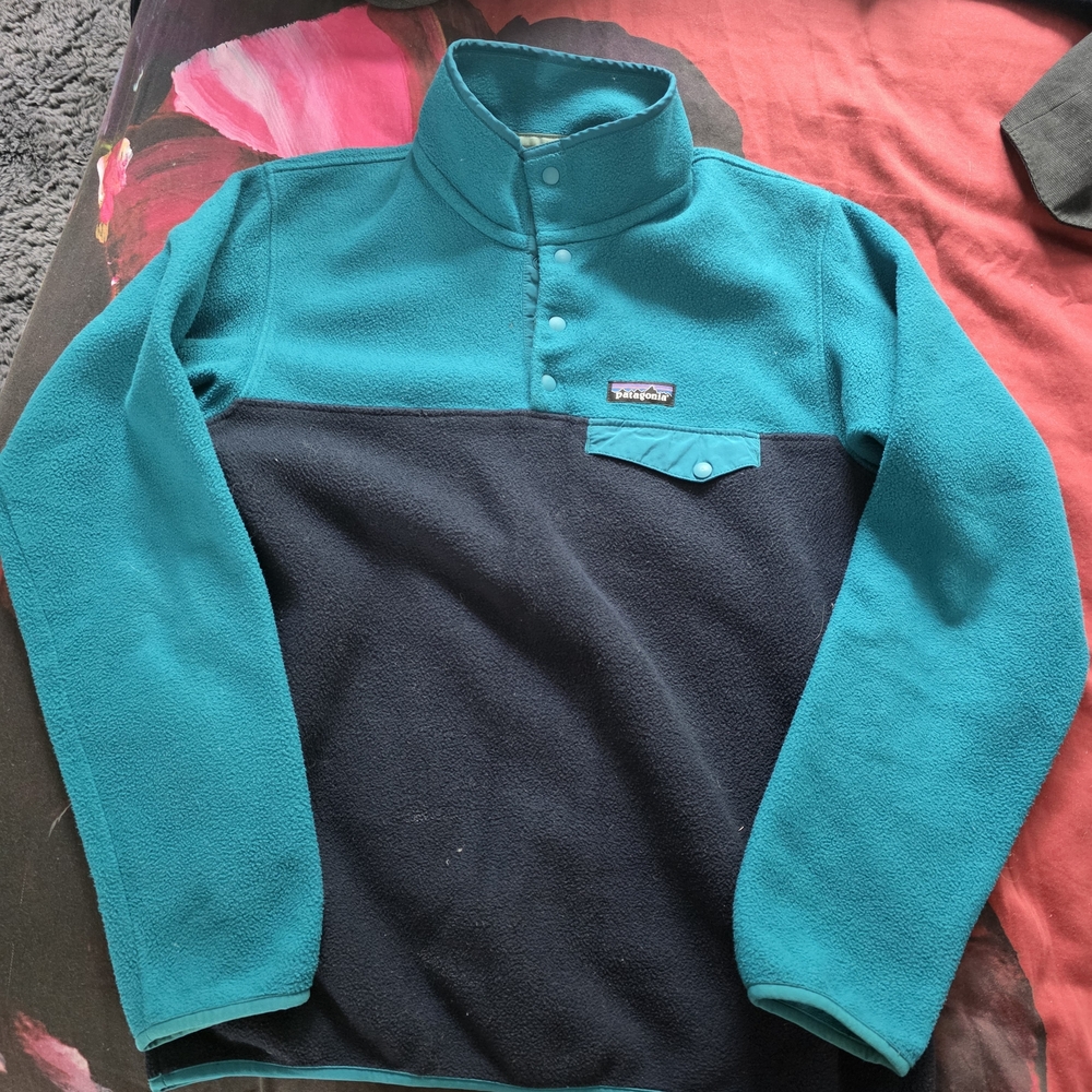 Patagonia Synchilla Teal Fleece Pullover